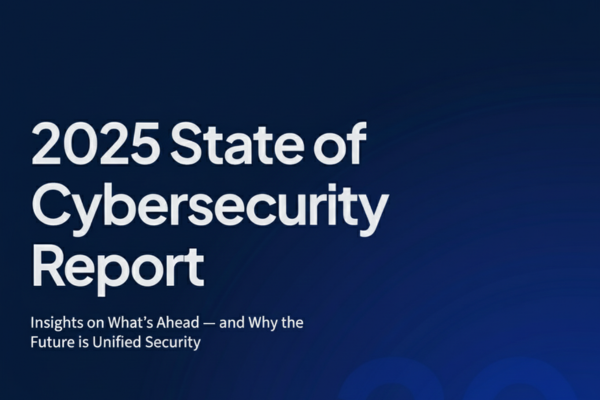 cybersecurity-writing-2025-State-Cybersecurity-Report